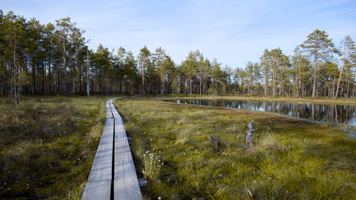 Kuidas luua tervislikku rutiini